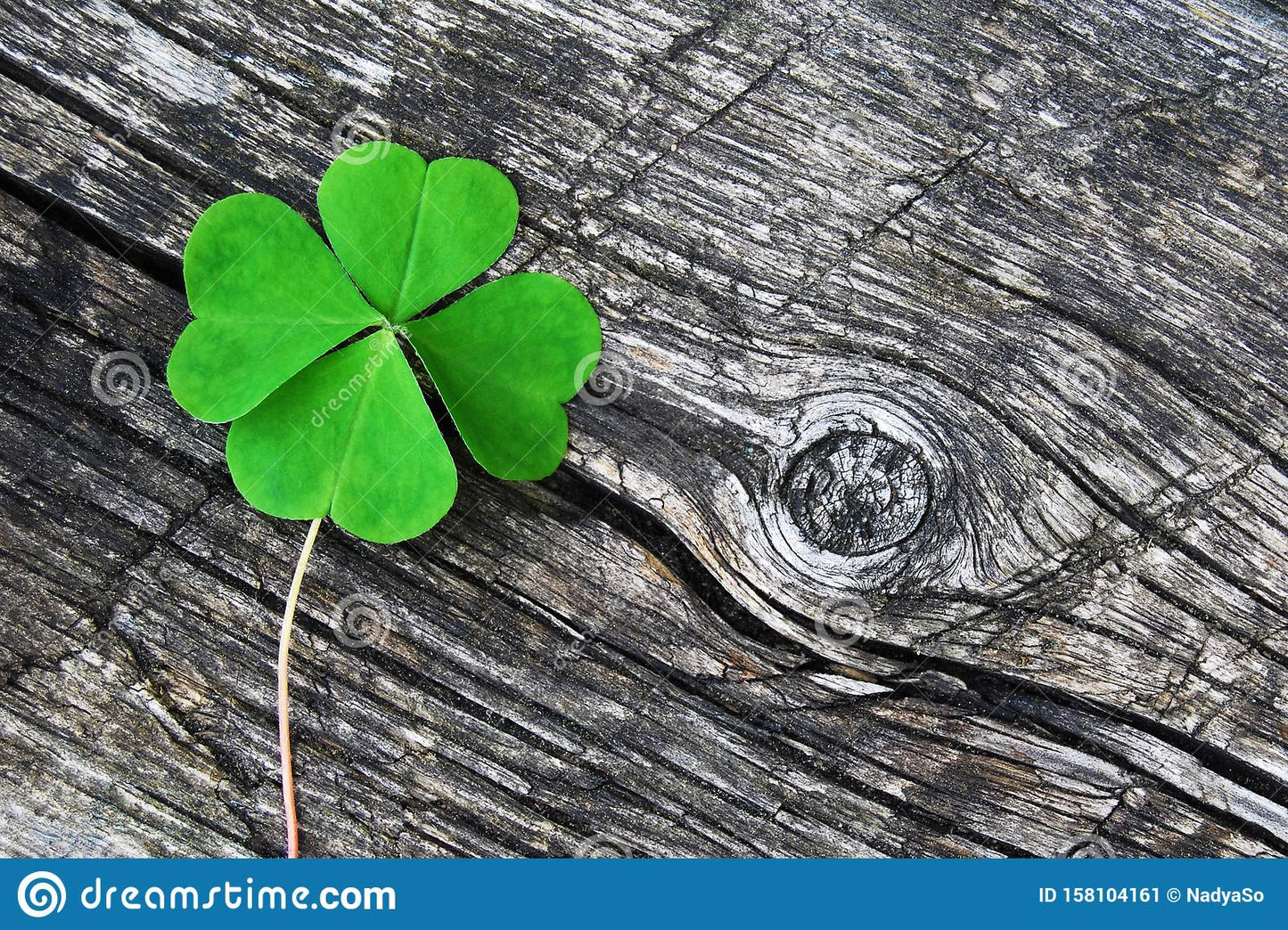 Lorem ipsum dolor sit amet