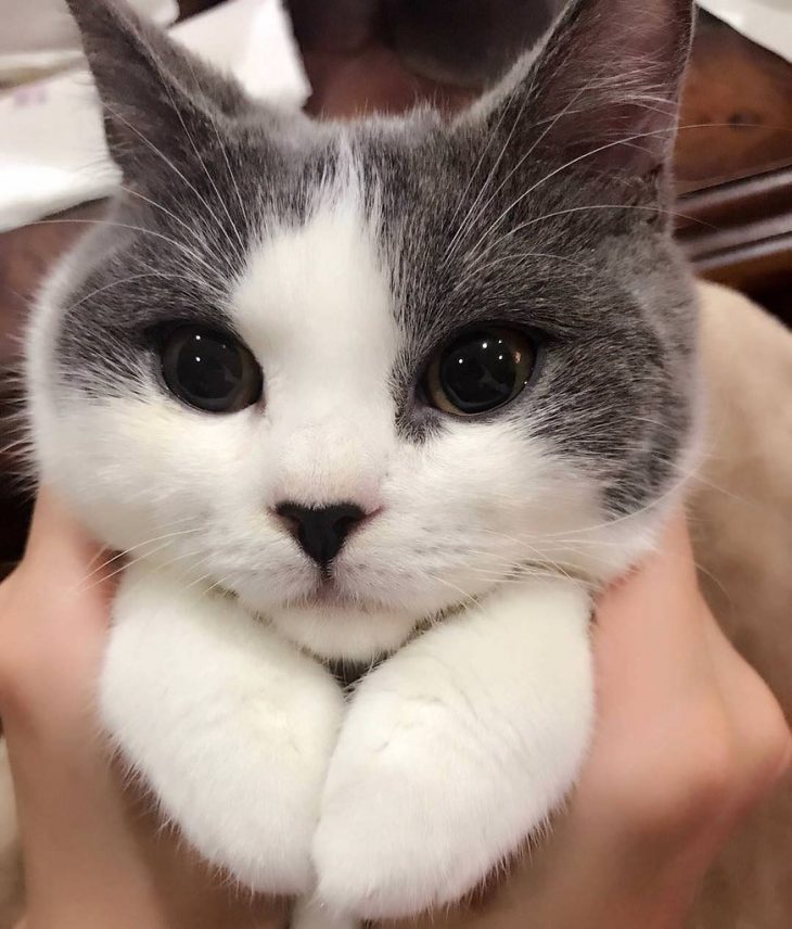 Inventory - 1 Variant is not tracked