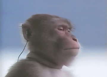 sa one variant with several images