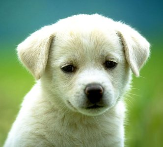 dm_out of stock_ product 24/08