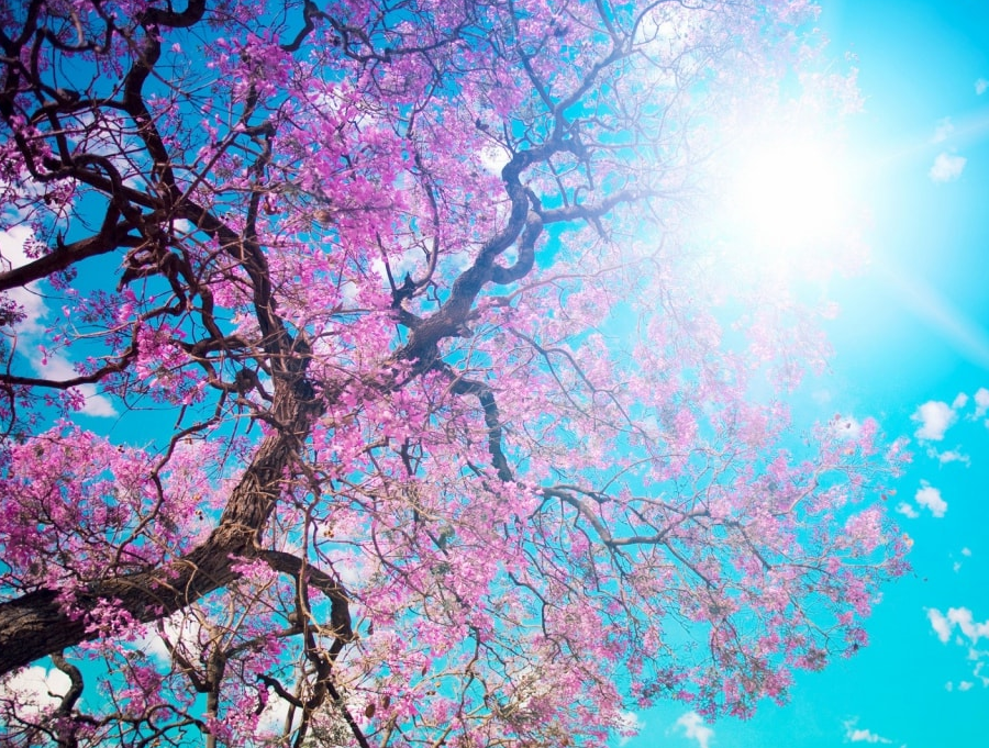 Product test variants