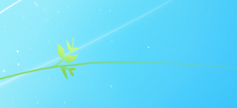 <b onmouseover="alert('xss');">VD product script</b>