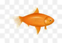 UPD dm test product with variants