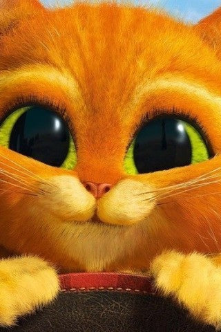 Product with more than 10 images