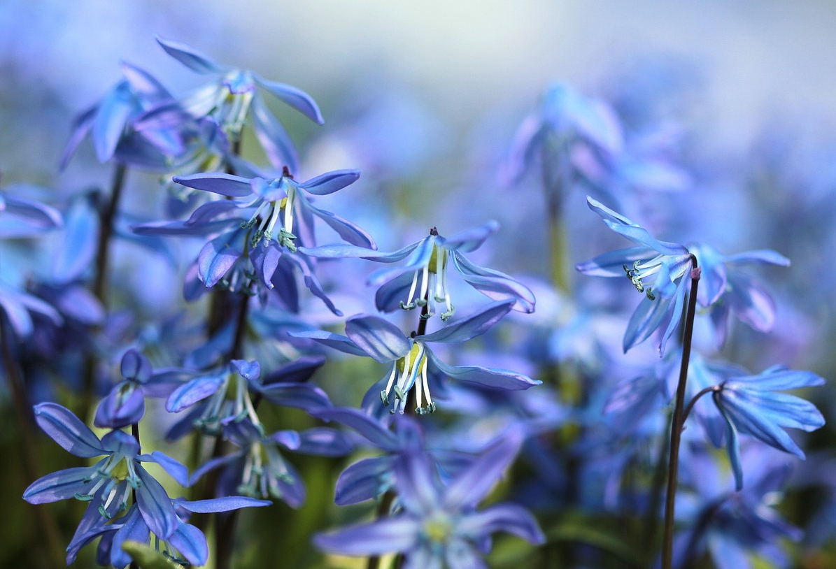 Product test variants