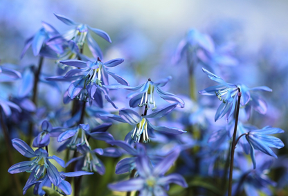 Product test variants