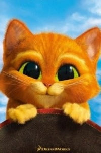 P.samal many variants and big descr