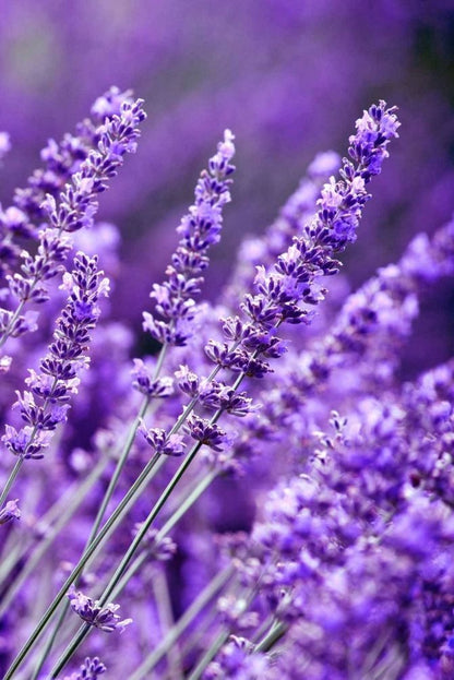 Product with variants