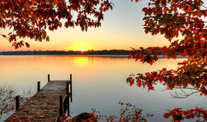 P.samal many variants and big descr