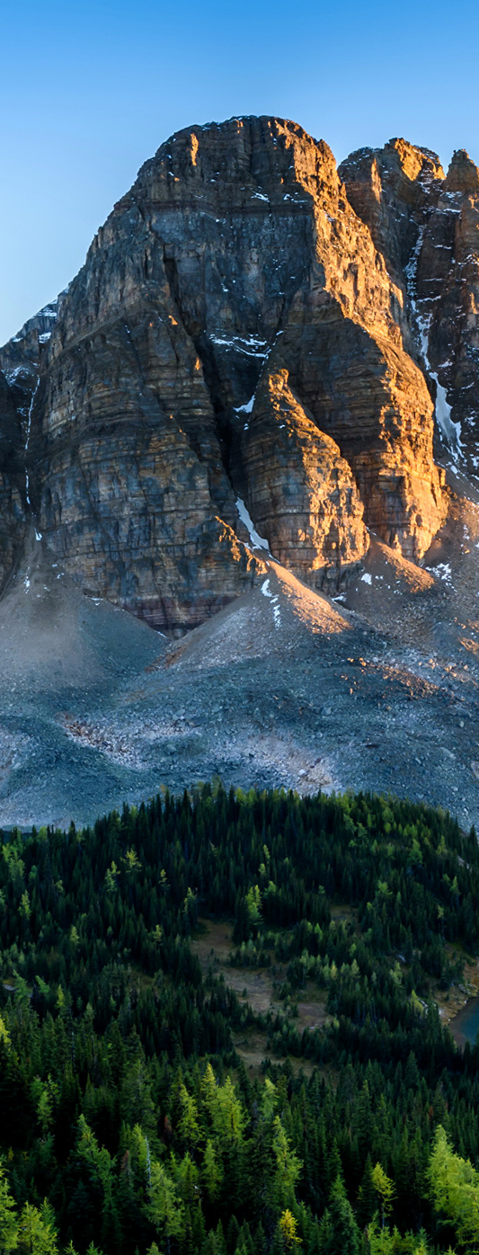 Test image vertical ed