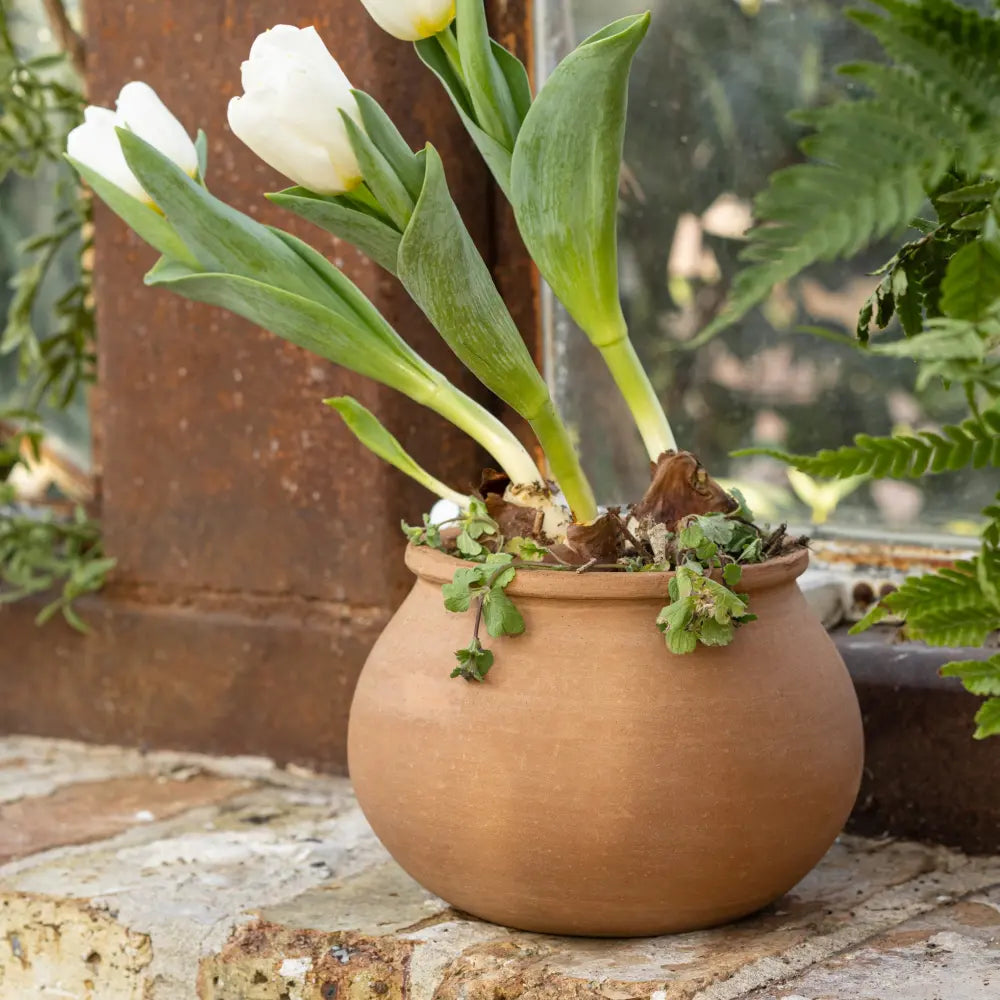 Earthen Terracotta Pot
