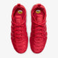 Nike Air VaporMax Plus