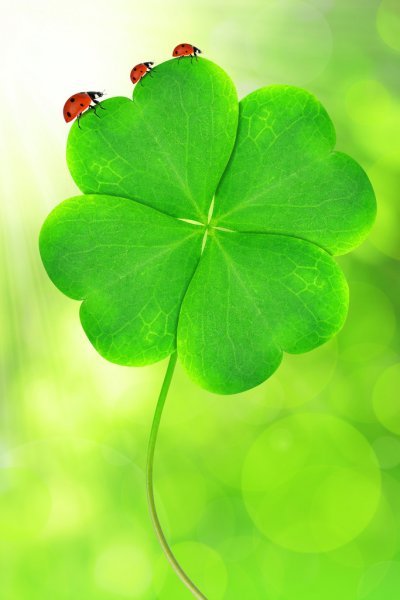 Lorem ipsum dolor sit amet