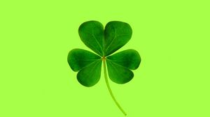 Lorem ipsum dolor sit amet