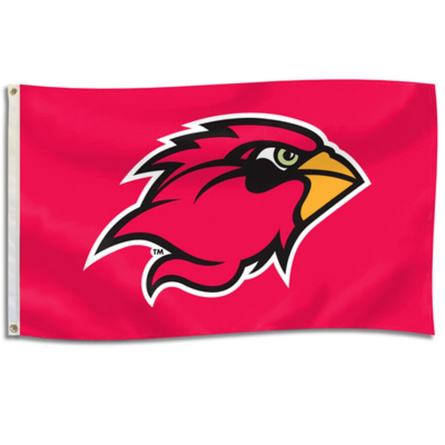 Lamar 3' X 5' Durawave Flag