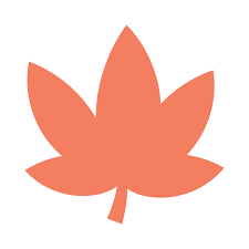 dm_out of stock_ product 24/08