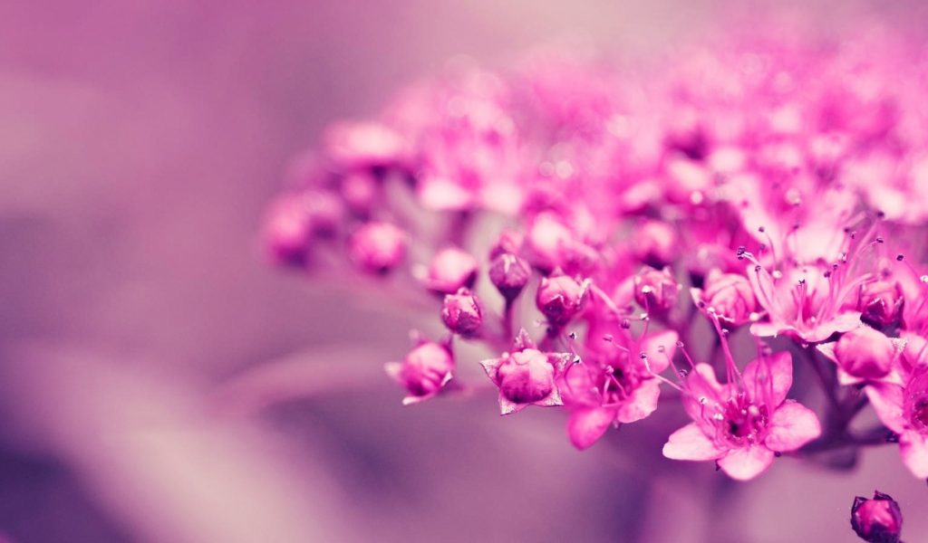 Product not physical 0 price