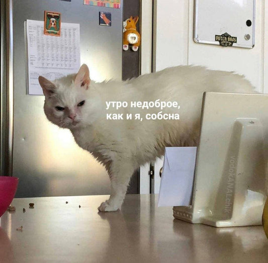 s.a.images/multiplemain