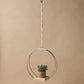 Braid & Wood Plant Hanger